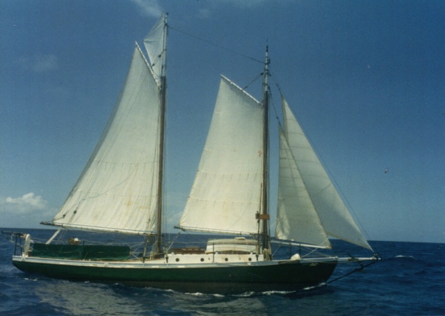 Schooner Arctracer sailing