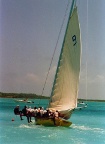 sailing fast at Long Island.JPG (54 KB)