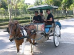 horsecart.JPG (176 KB)