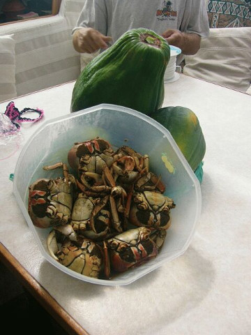 Crabs Papaya