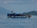 ferry (157 KB)