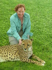 Jane-Cheetah