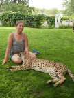Jennifer-Cheetah
