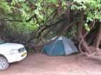 campsite (197 KB)