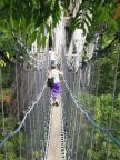 Rainforest Walkway (76 KB)