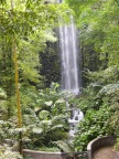 waterfall.JPG (135 KB)