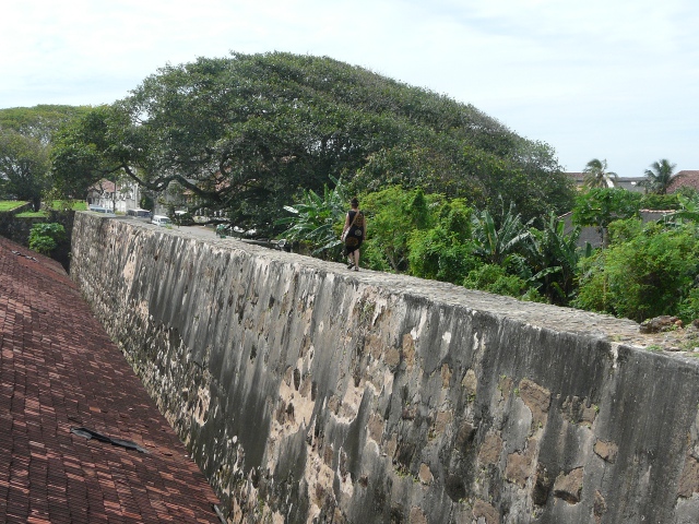 walking-wall