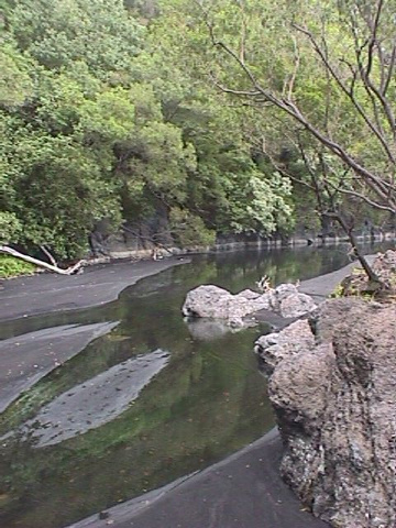 Baouma stream