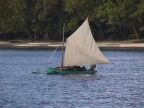 canoe sailing (55 KB)