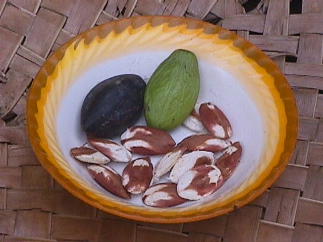 Nali Nuts