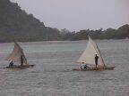 sailing canoe race (43 KB)