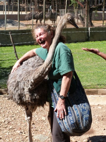 Nina-Ostrich