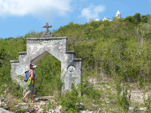 Mt Alvernia