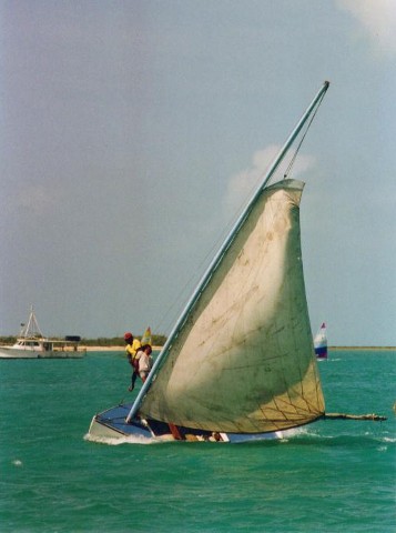 speedy little boat