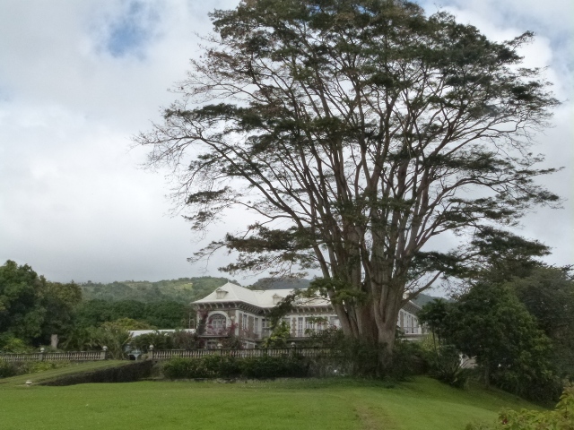 Plantation