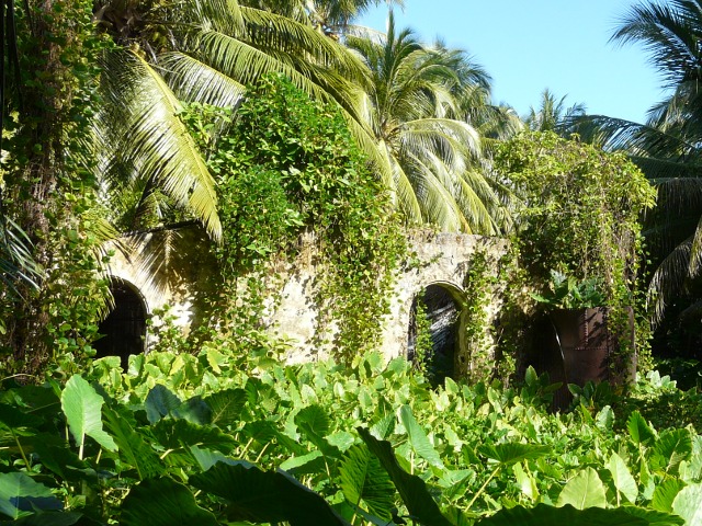 old arches