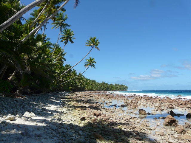 rocky shore