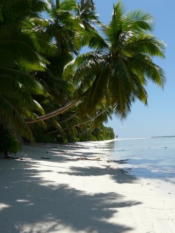 sandy beach