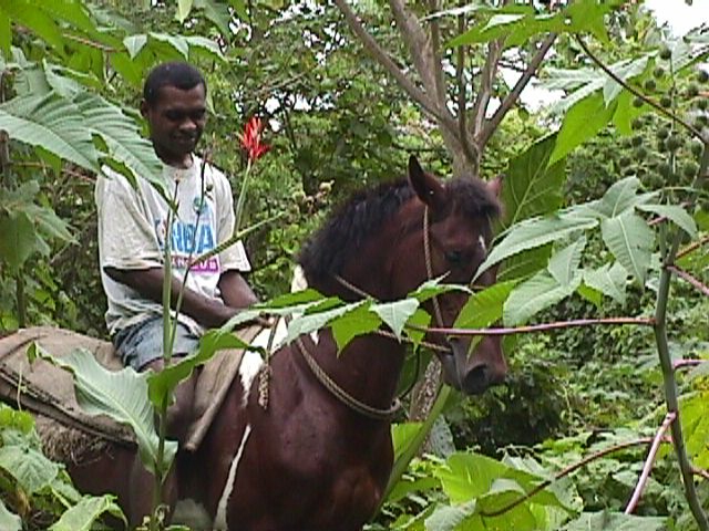 Horseman