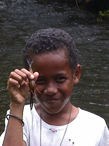 prawn6