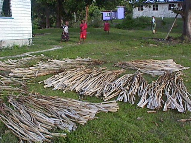 Pandanus Drying