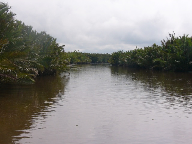 Sekonyer River