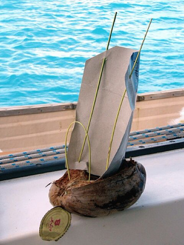 Coconut sailboat