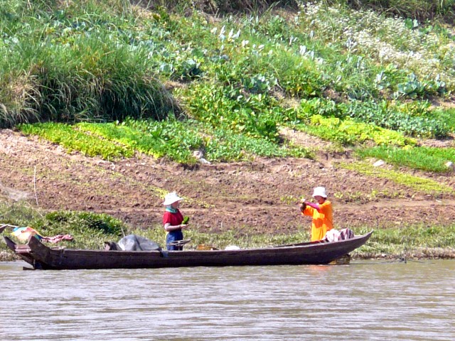 canoes