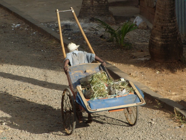 rickshaw-hauler