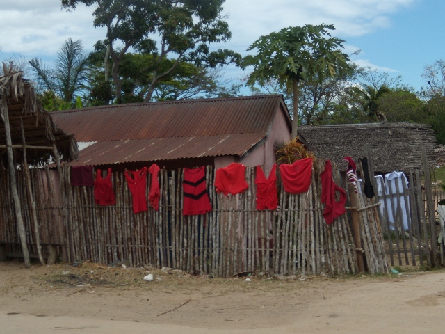 red-shirts