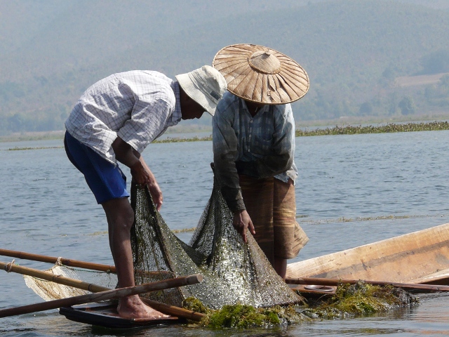 Checking Dip Net