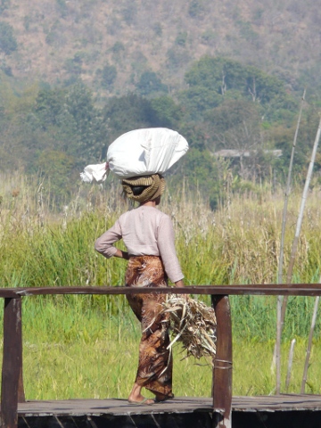 Bundle on Head