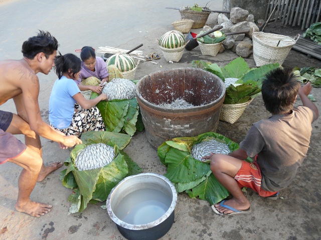 packing fish