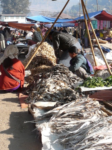 dried fish