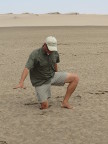 Quicksand (53 KB)