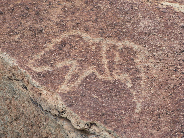 Warthog