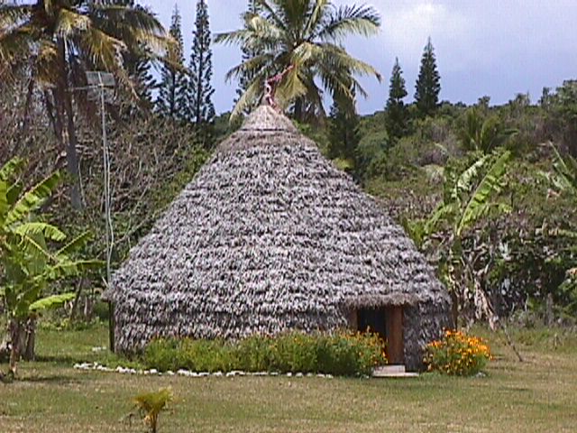 Traditional House