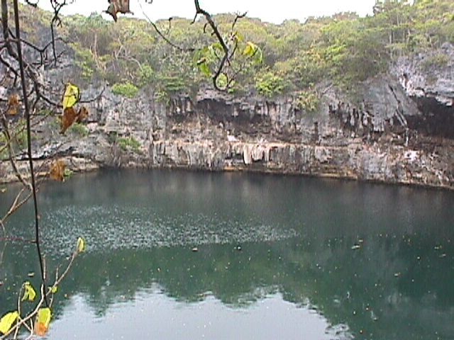 Turtle Pool