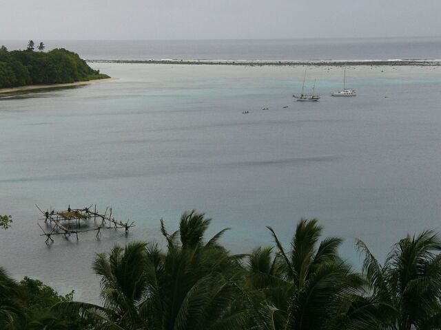 Harbor View