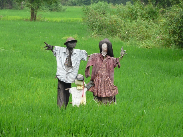 scarecrows