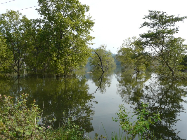 flood
