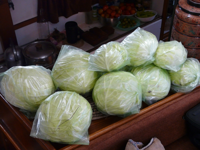 cabbages