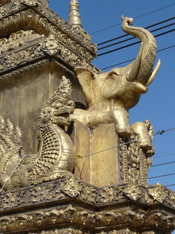 naga and elephant