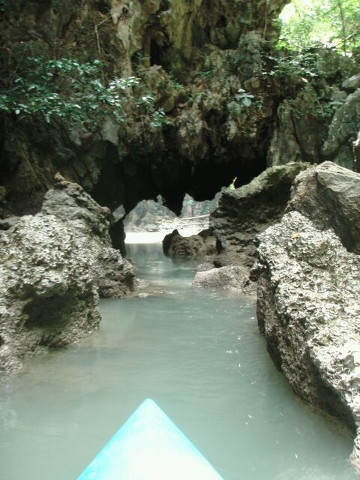 KoHong