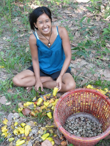 Cashew Cutting