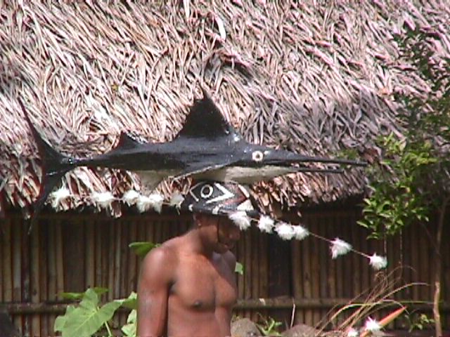 Sailfish